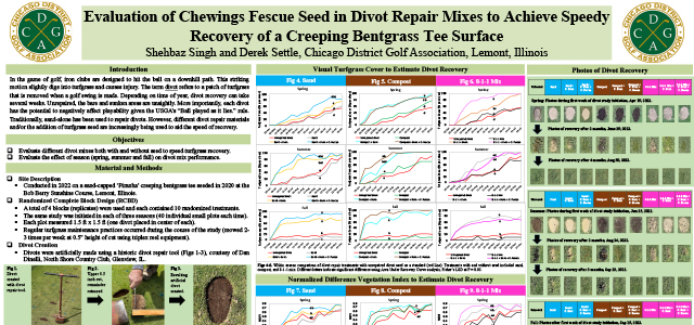 Evaluation of Chewings Fescue Seed in Divot Repair Mixes to Achieve Speedy Recovery - Creeping Bentgrass Tee