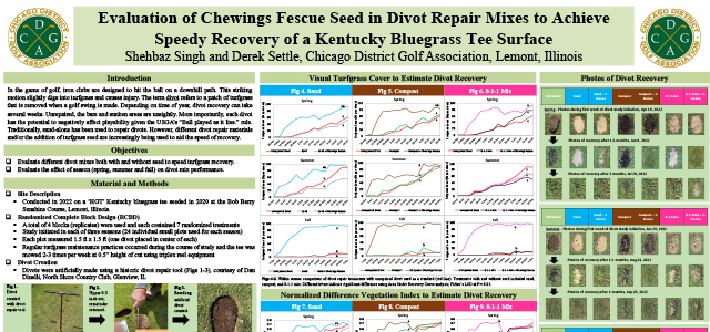 Evaluation of Chewings Fescue Seed in Divot Repair Mixes to Achieve Speedy Recovery - Kentucky Bluegrass Tee